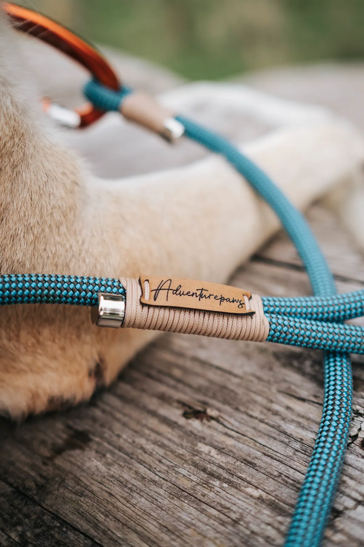 Hundeleine mit Lederdetail auf einem Holztisch